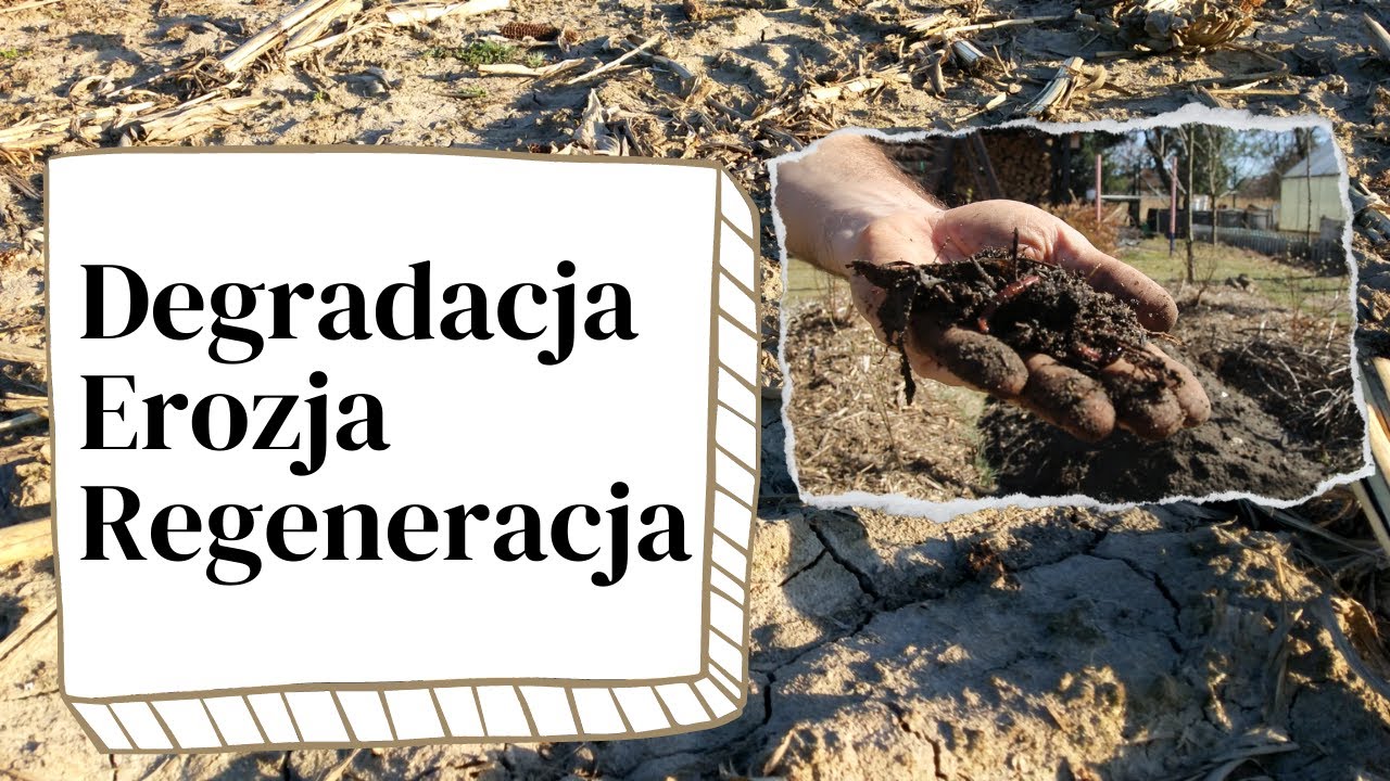 Jak poprawić jakość gleby? Degradacja, erozja, regeneracja.