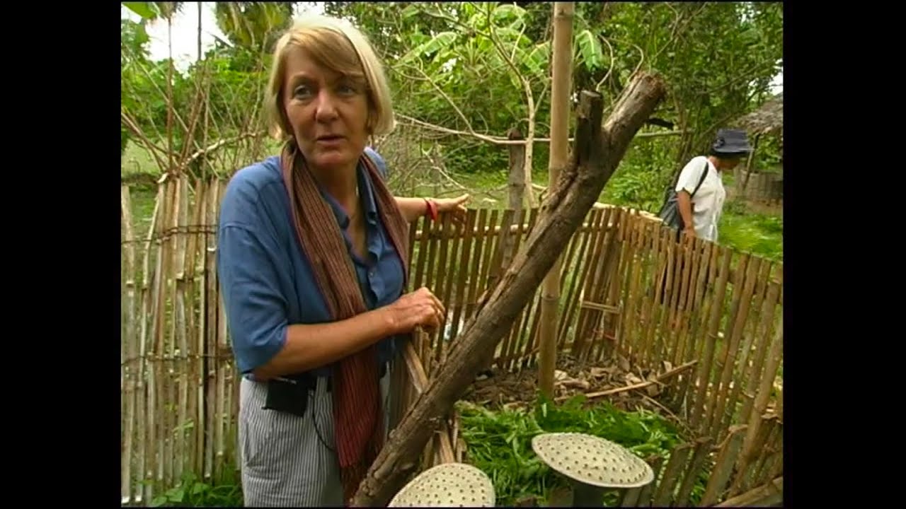 Rosemary Morrow - Living Fields (1990's ABC TV Permaculture Documentary)