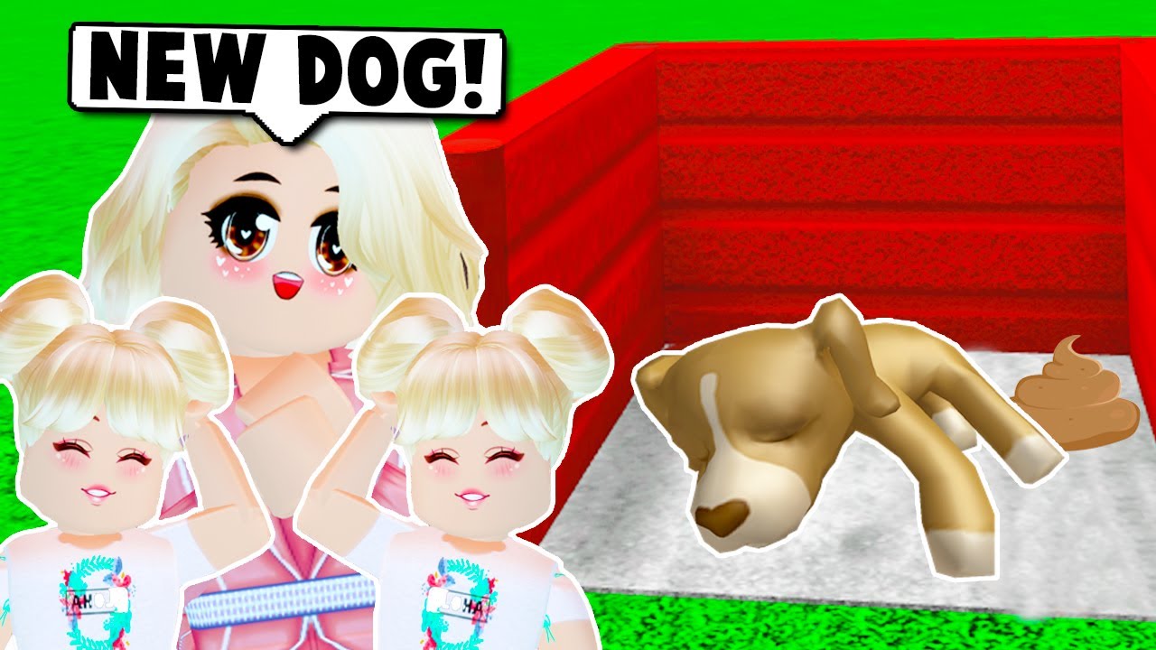 WE ADOPTED A HOMELESS FAMILY DOG ON BLOXBURG! (Roblox)