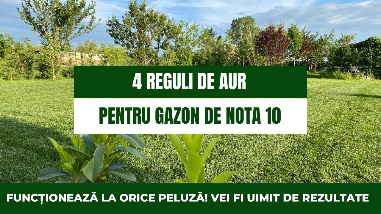 Simplu, clar cu rezultate 100%:  4 reguli de aur la &icirc;ngrijirea gazonului. SeminteGazon.ro