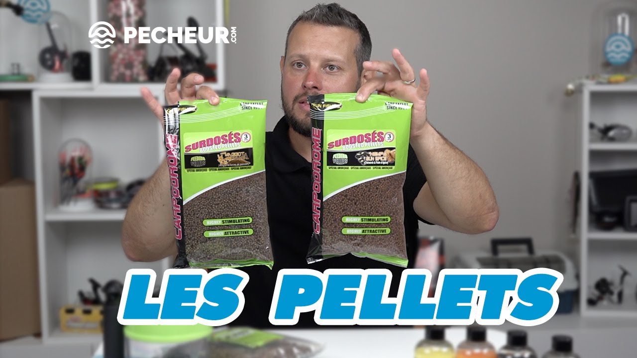 Tout sur les pellets pour la pêche au coup