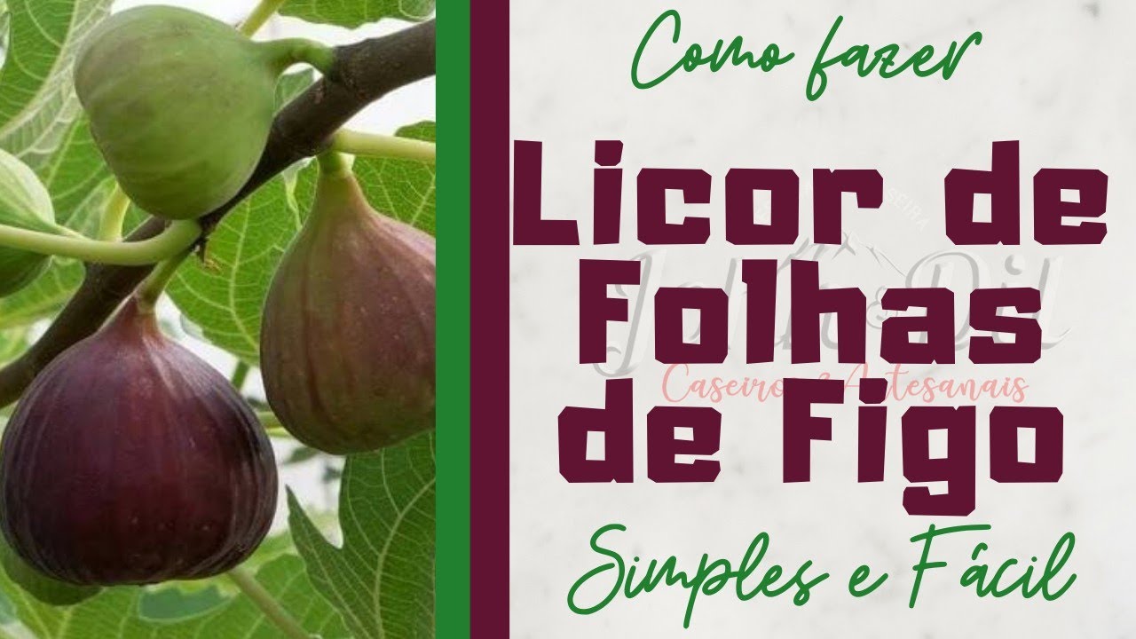 Como fazer Licor de Folhas de Figo Simples e Fácil.