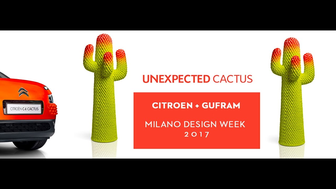 Citroen #Unexpected Cactus