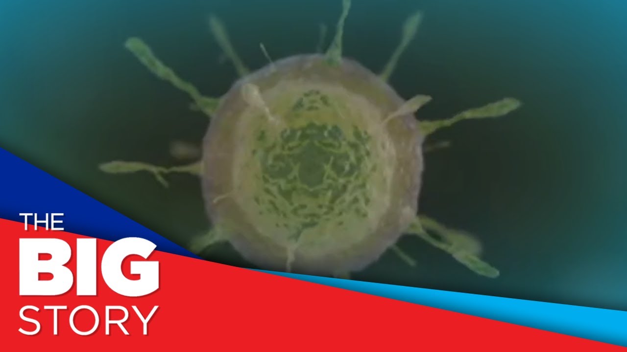OCTA: Mutation of new variants unlikely after Omicron emergence