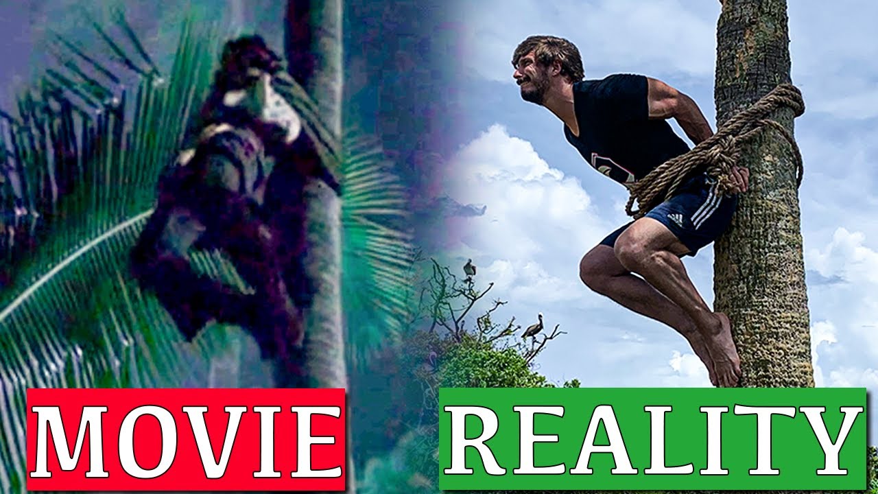Can You Escape Palm Tree Trap in Real Life?