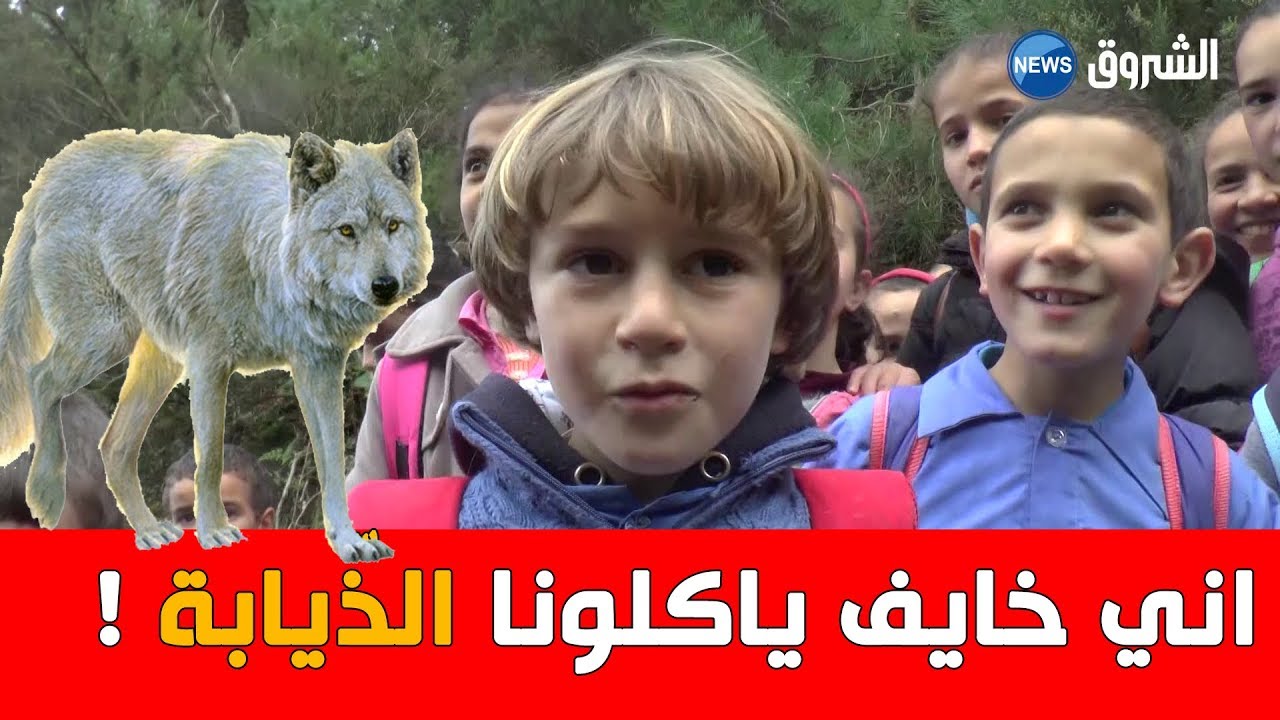 شاهد.. تلاميذ أكارون بسكيكدة 