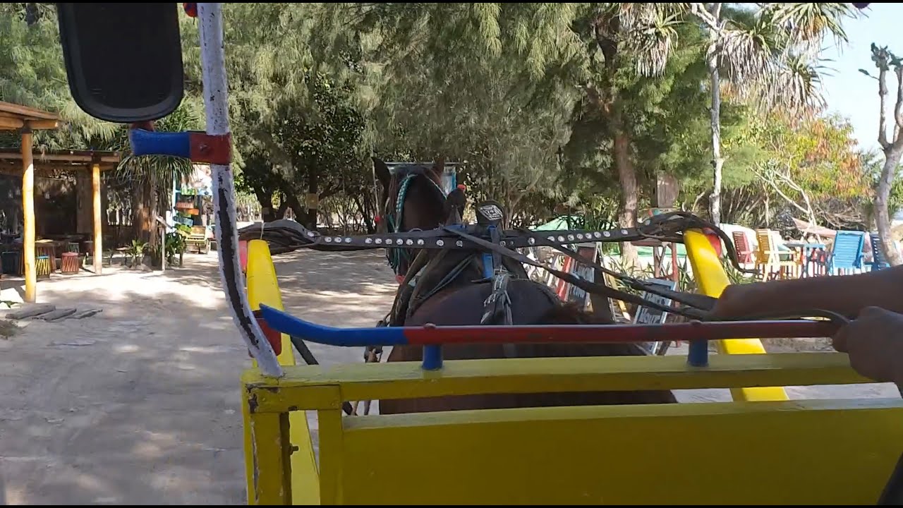 Cidomo (Horse Cart) Ride at Gili Trawangan, Lombok