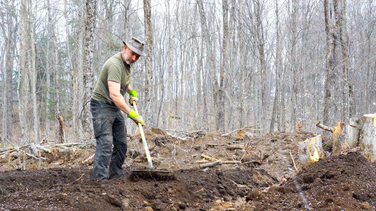 My Priorities Have Changed | Sustainable Permaculture | Protecting My Vegetables from Deer