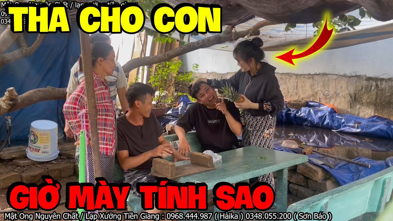 Sơn Báo Giải Thích Thế Nào Khi Mỹ Yến Qua Tận Nhà Méc Mẹ