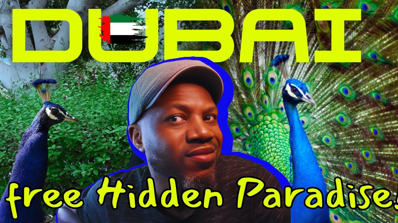 I Found Dubai’s Secret Park No One Talks About | Jumeirah Garden Park