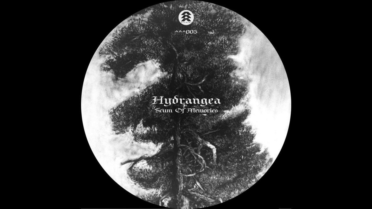 Hydrangea - Unexpected Paths
