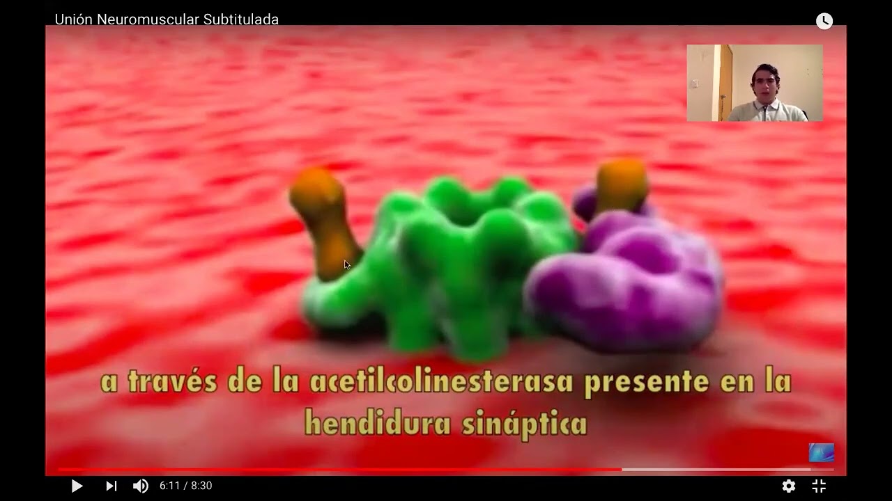 Bases Biológicas parte 2   MarianSpa.Com