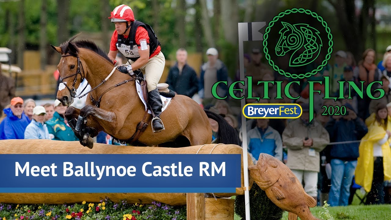 Meet Ballynoe Castle RM, the BreyerFest 2020 Celebration Horse!