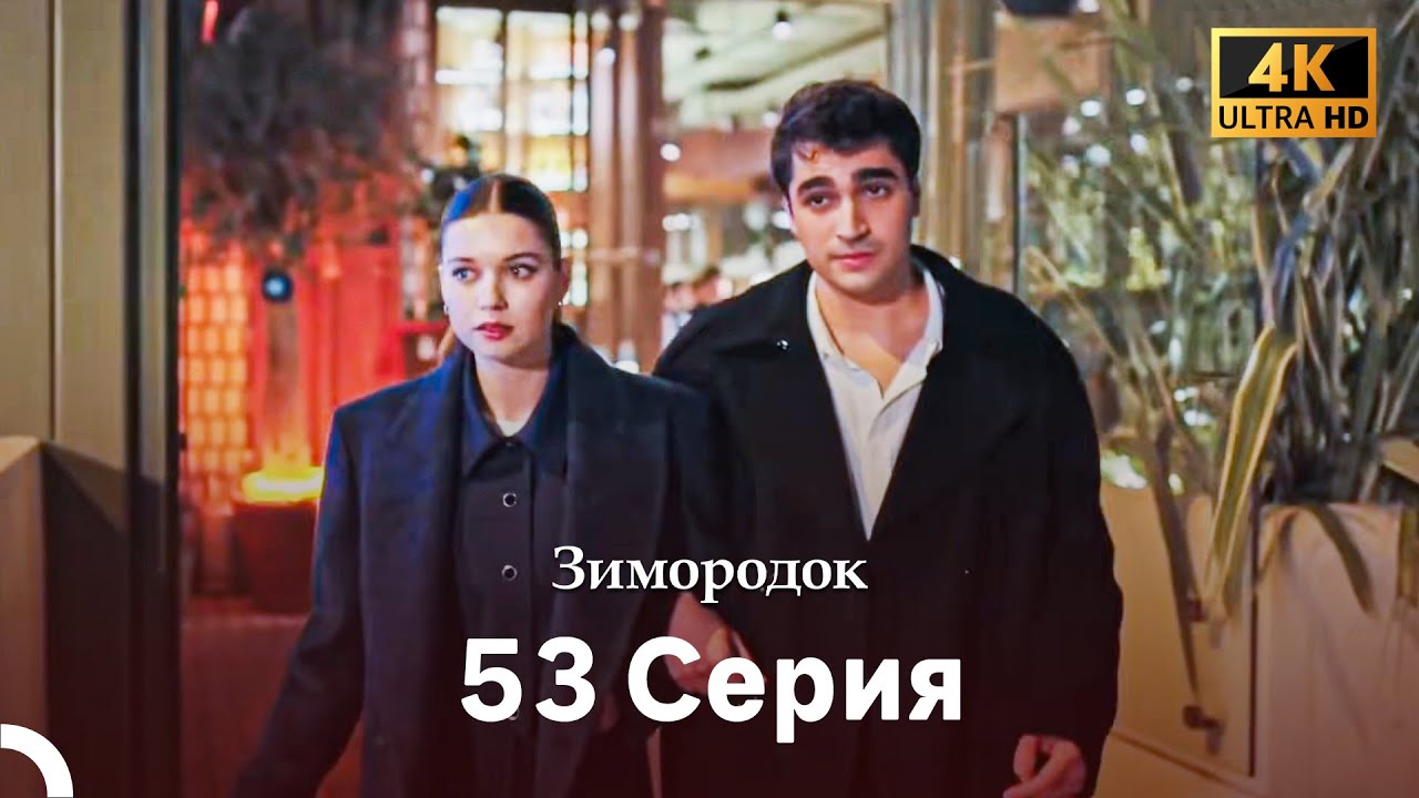 Зимородок 52 Cерия (Русский дубляж) (4K)