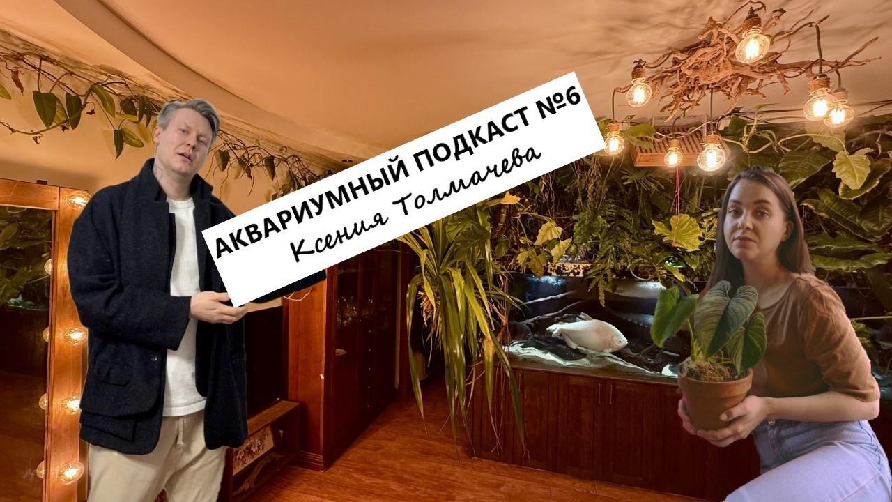 Аквариумный подкаст №6 - Ксения Толмачева / Peace of jungle
