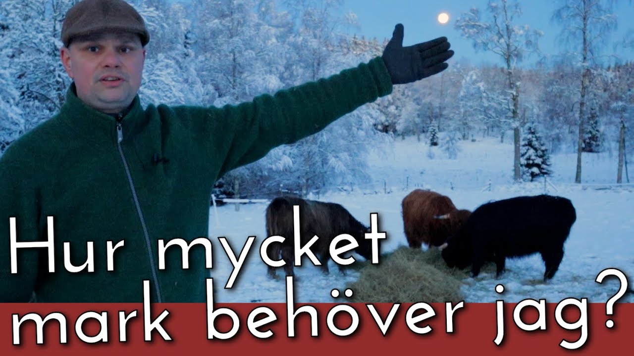 Hur mycket mark behöver jag för att starta en småskalig gård?