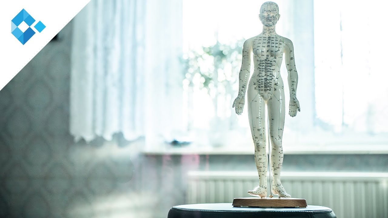Wie Akupunktur und TCM wirkt | Dr. med. univ. Renate Knoblauch
