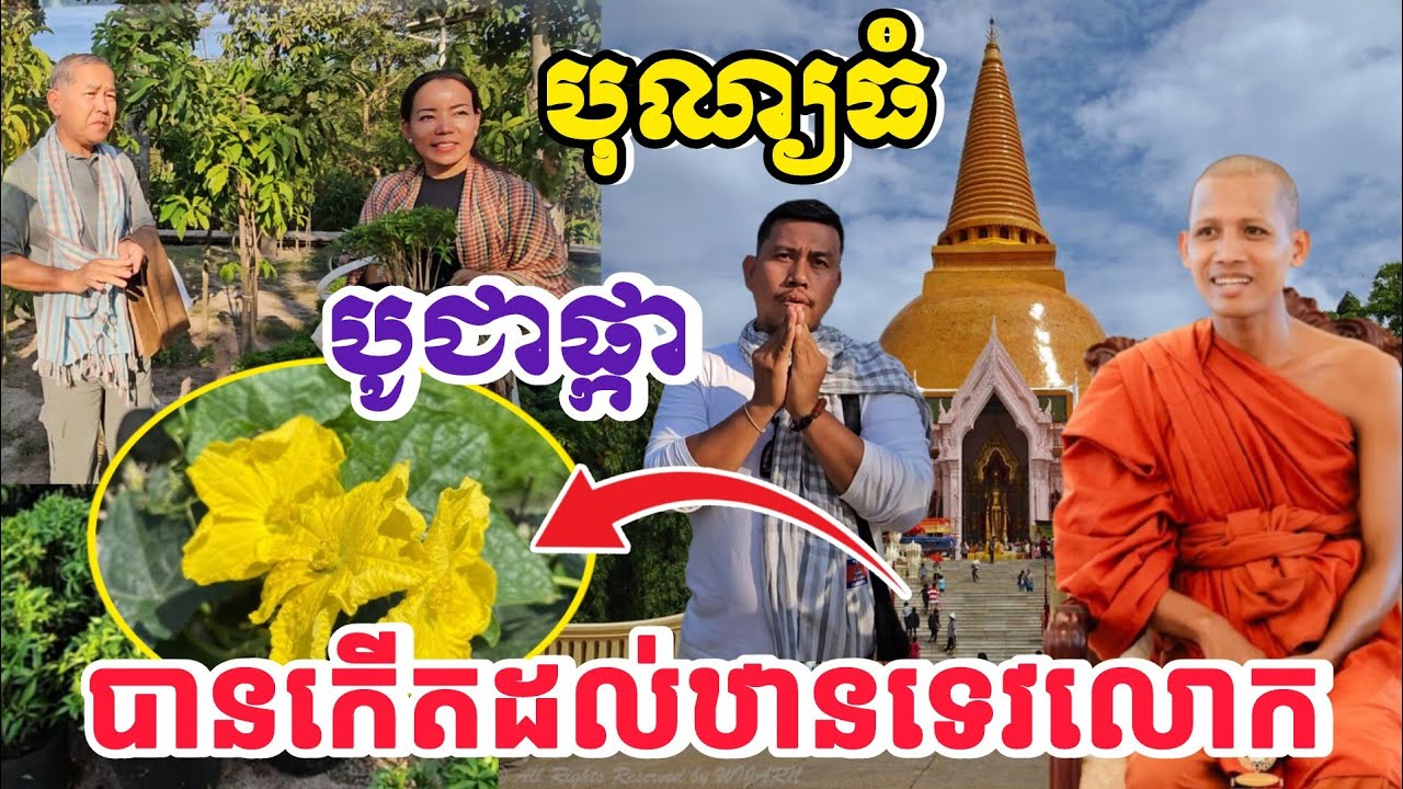 អស្ចារ្យណាស់ គ្រាន់តែបូជាផ្កាបានកើតទៅជាការដោះដ្ឋានទេលោក។