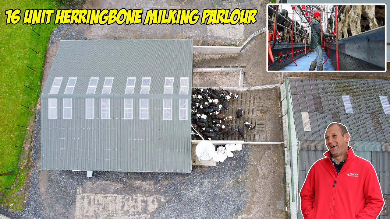 New Entrant Dairy Farmers  - 16 Unit Herringbone Milking Parlour | Pearson Milking Technology