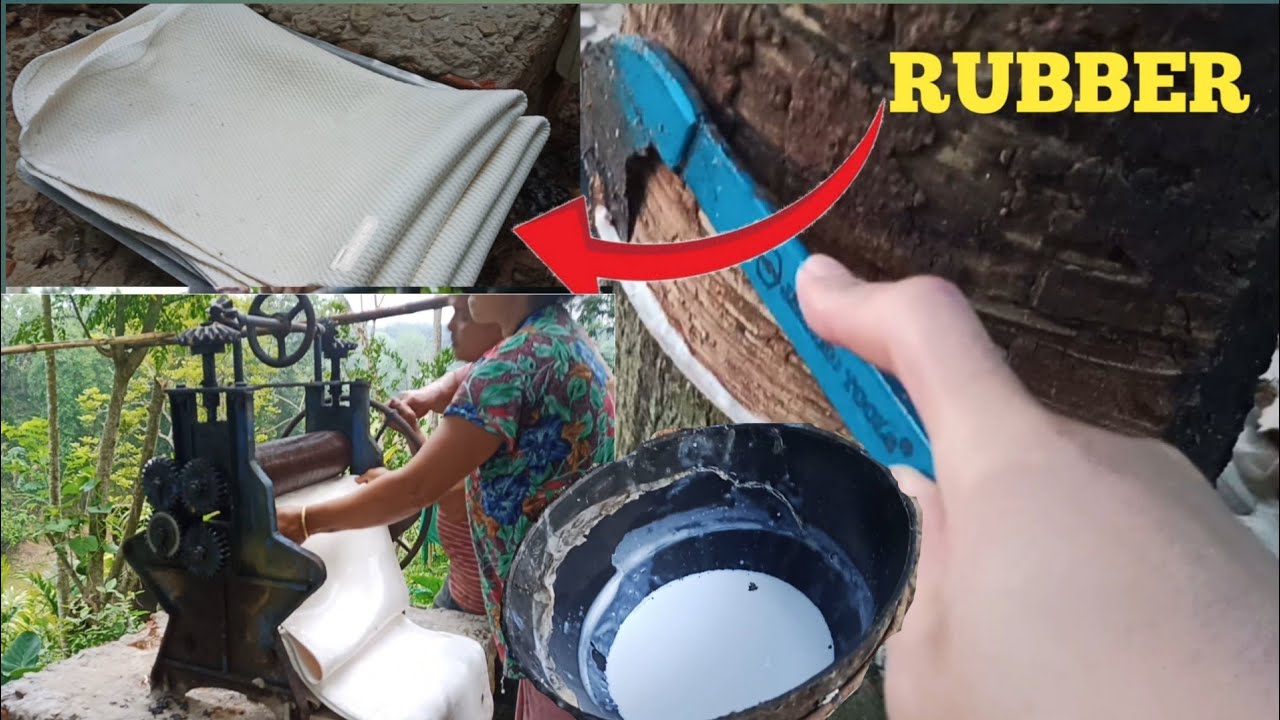 Cutting Rubber trick || #Tripura Vlogs @Gabriel Halam🔥