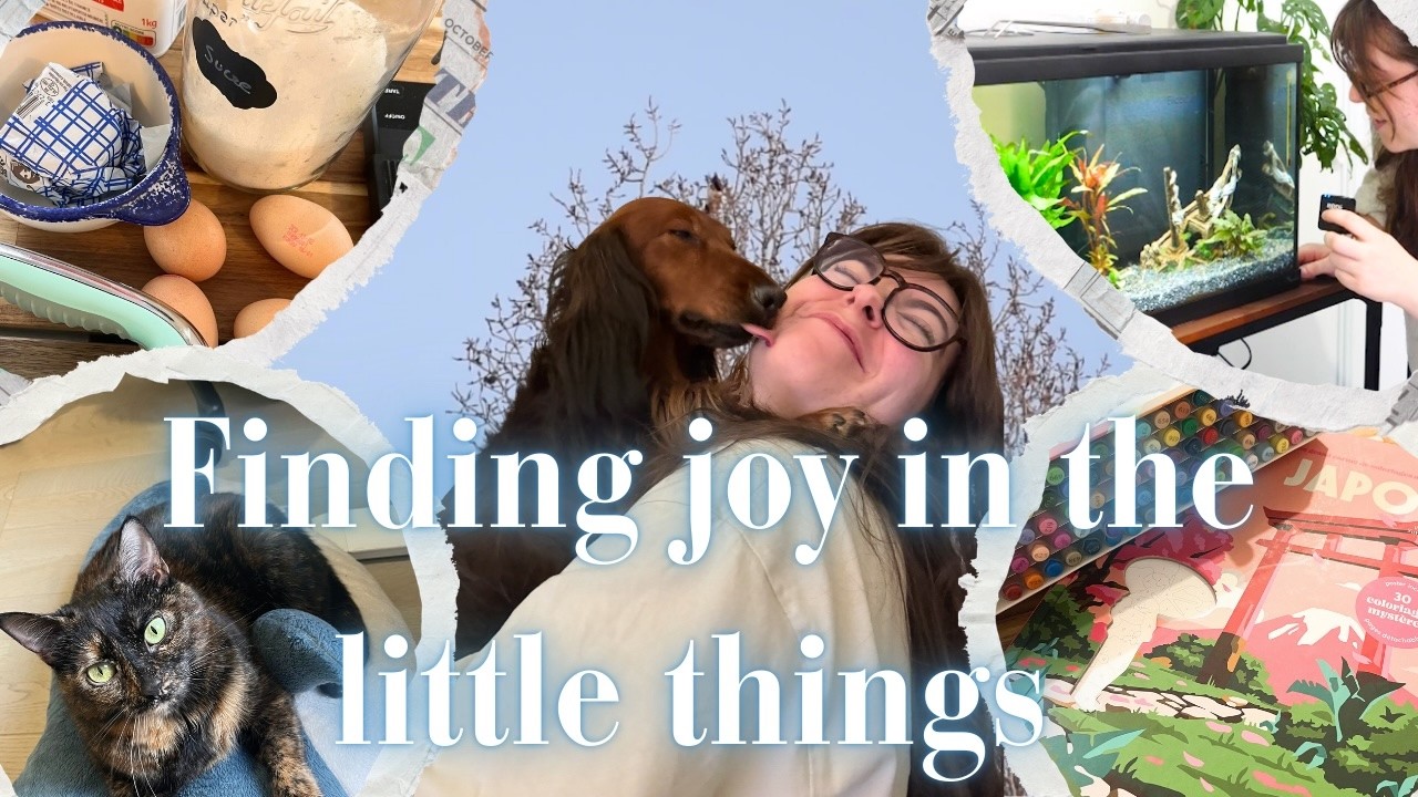 ❄️ WINTER DIARIES I Making crêpes, building my first aquarium and chatting about Brigerton 4