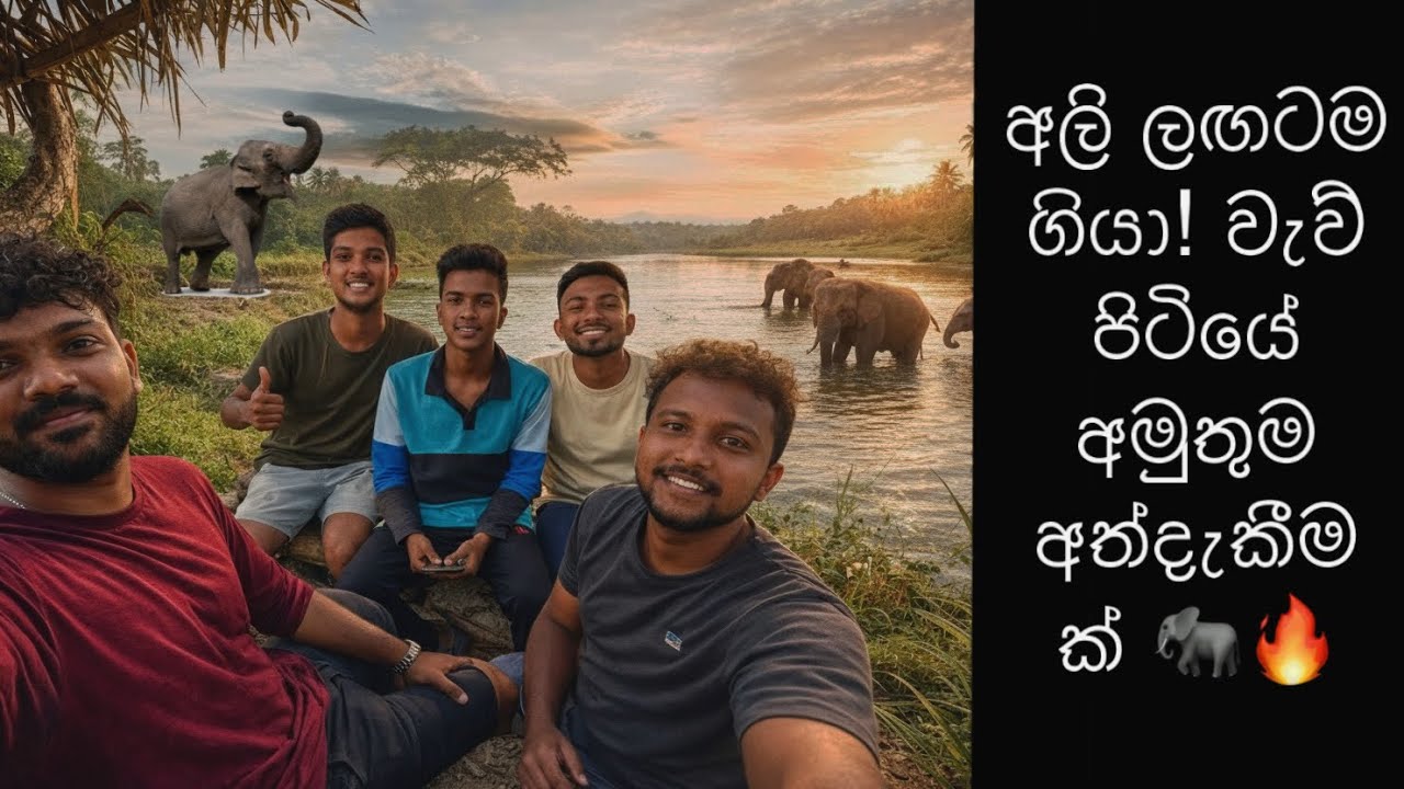 වැව් පිටියට අලි බලන්න ගිය අපේ Day Out එක! #vlog #travel #elephats #trending #friends #nature #dayout