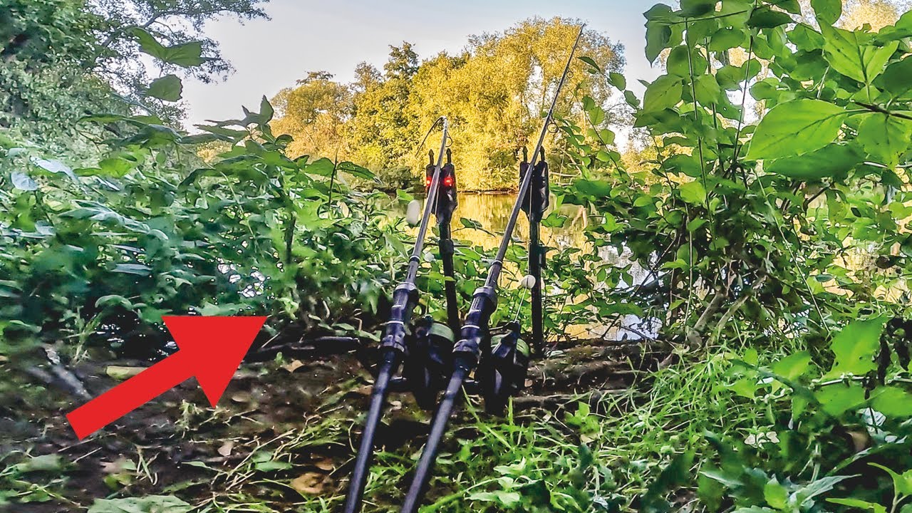 XXL Karpfen im Fluss 🐳 The River Vlog Folge 43