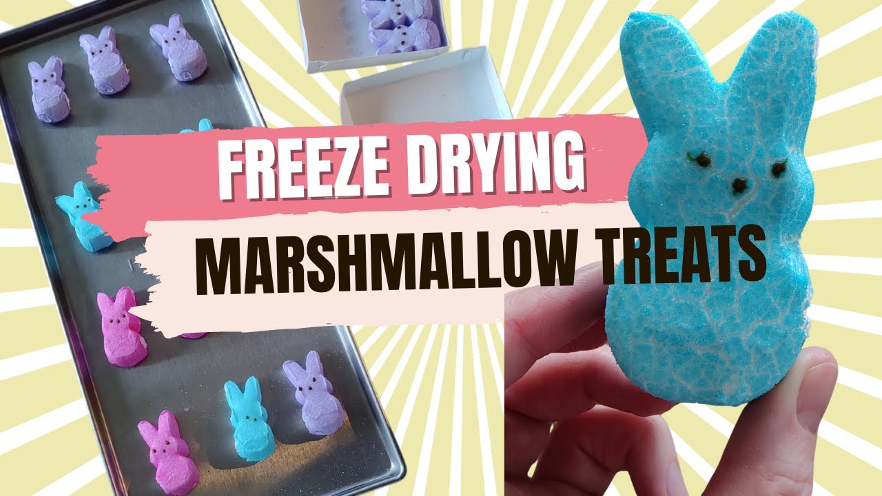 Can you Freeze Dry Marshmallows??