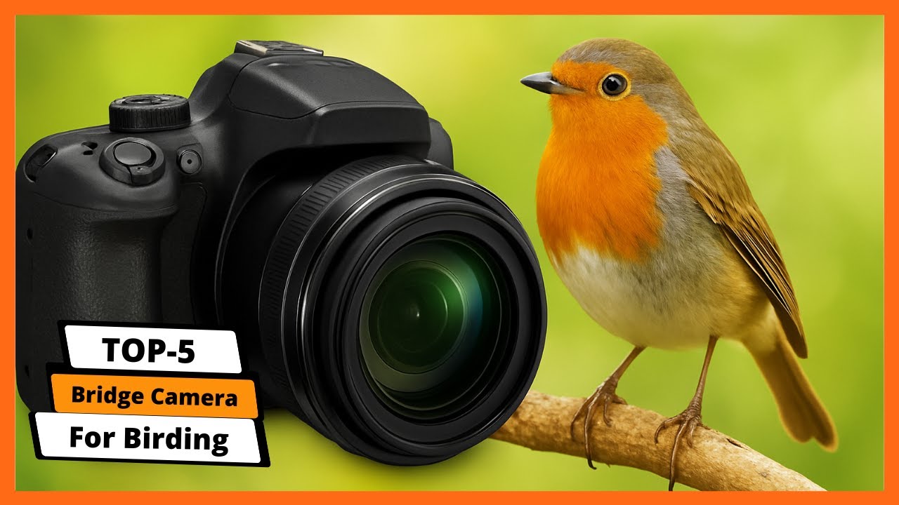 ✅ Top 5 Best Bridge Cameras for Birding 2025 | Bird Photography Made Easy