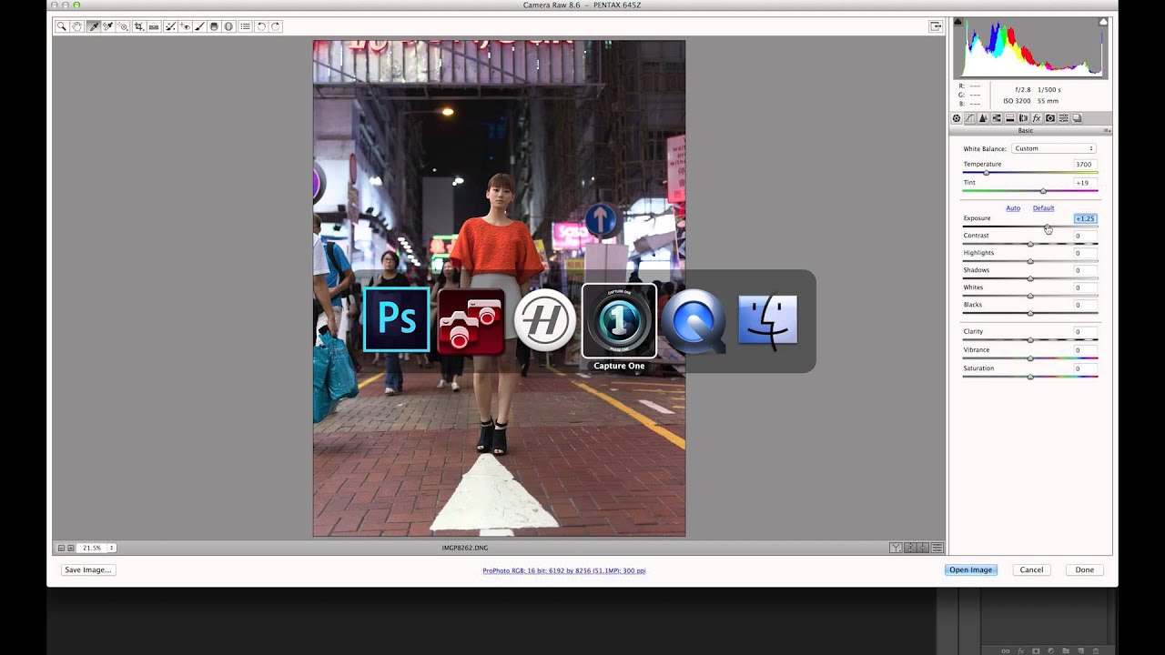 IQ250 Digital Back (Part 2 &ndash; field test by Yankov Wong production)