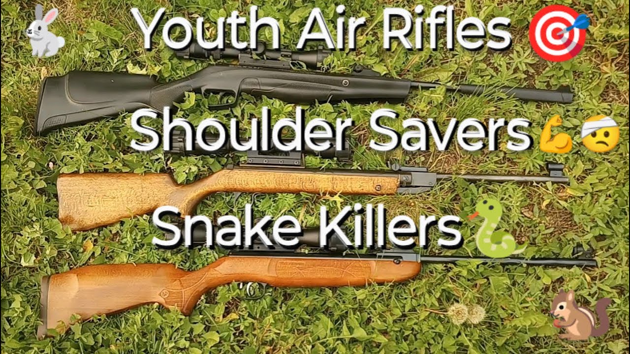 Easy Shooting Break Barrels For Sore Shoulders & Pests