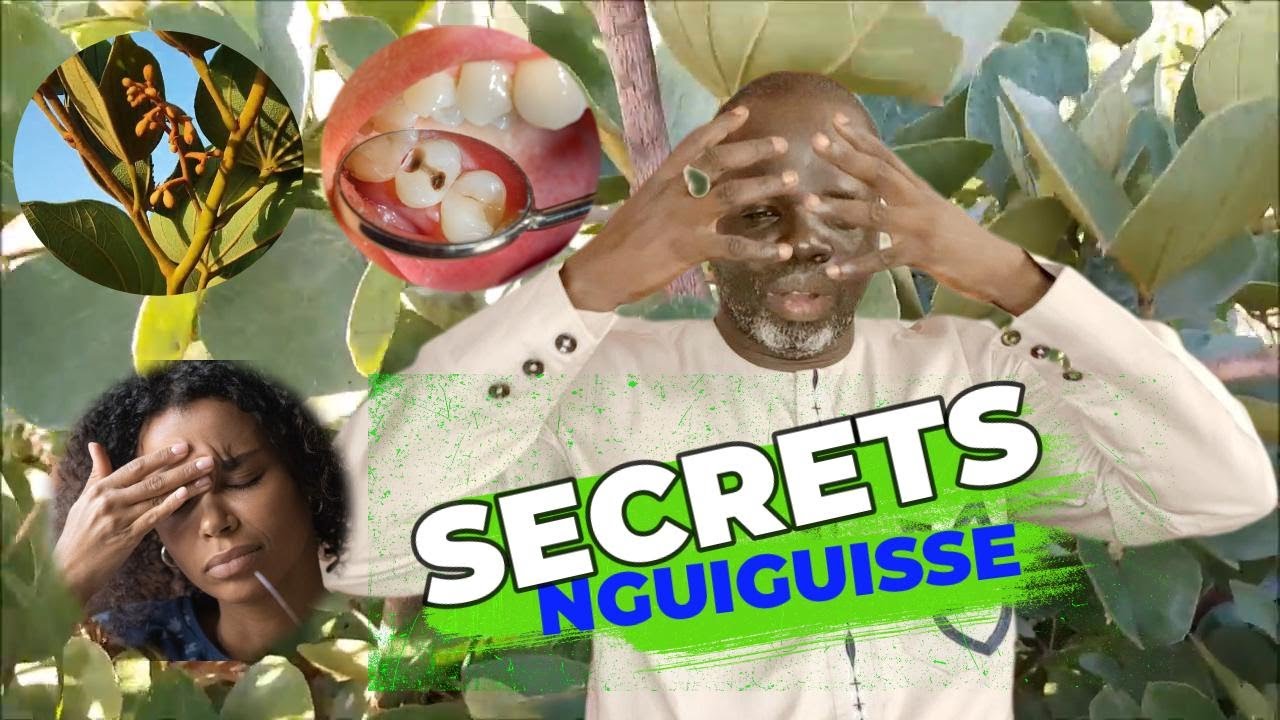 Ndiarignou « Nguiguis » ou Piliostigma thonningii  - Pr Ousmane Ndiaye - SAMA XALAAT TV