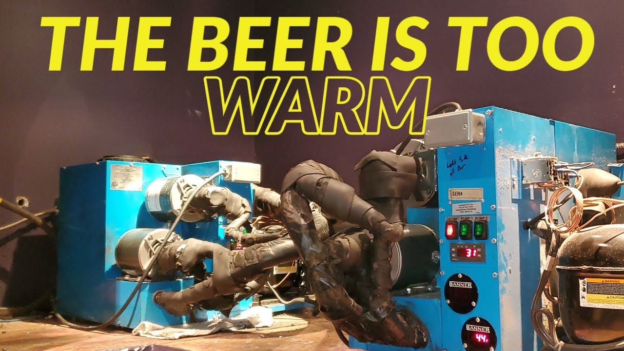THE BEER IS TOO WARM