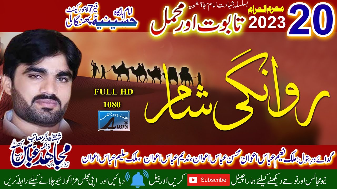 Zakir Mujahid Abbas Butta || 20 Muharram 1445 H 2023 || Imambargah Hussainia Pangali Cantt Lahore