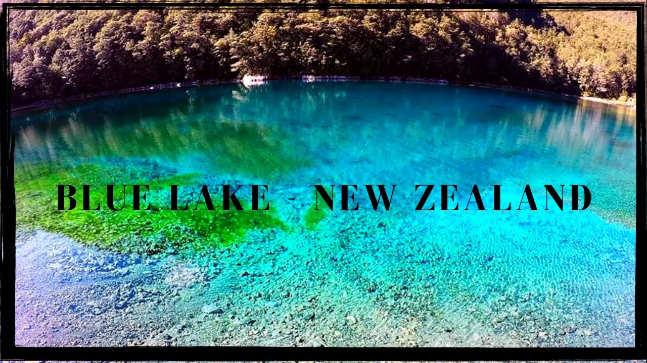 Clearest Lake in the World   |   Blue Lake - New Zealand