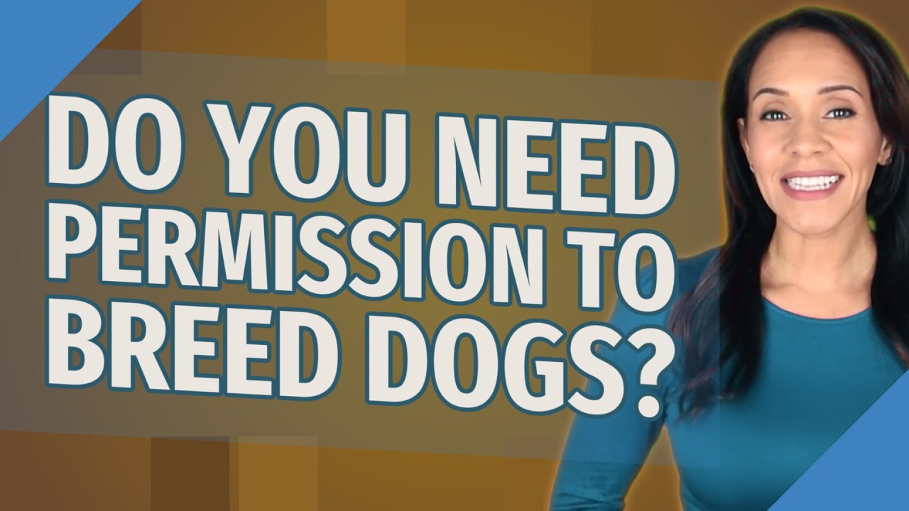 Do you need permission to breed dogs?