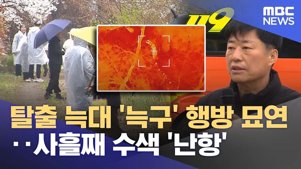 탈출 늑대 '늑구' 행방 묘연‥사흘째 수색 '난항' (2026.04.10/12MBC뉴스)