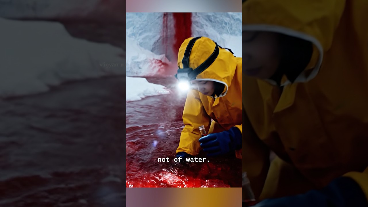 Why This Glacier Bleeds Blood &mdash; Blood Falls Explained