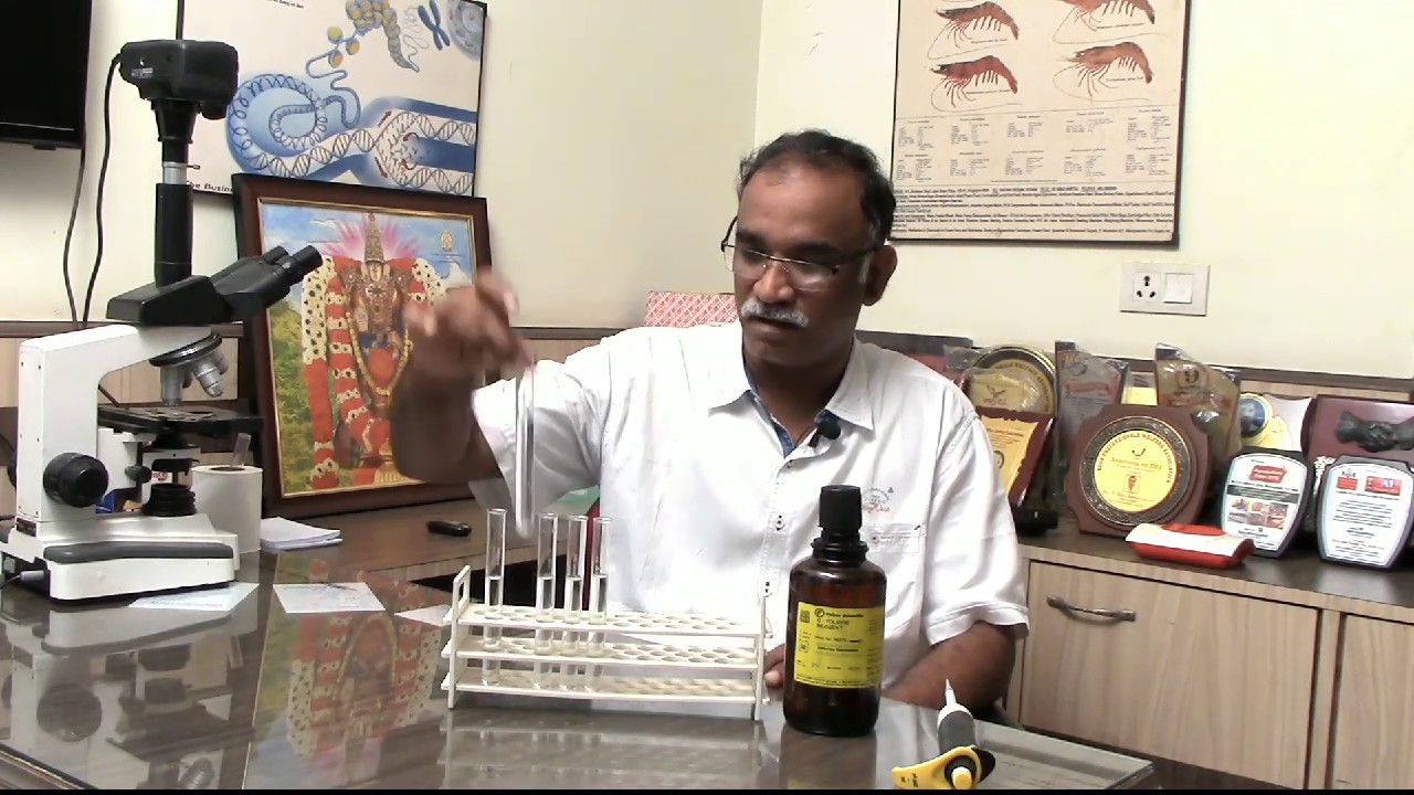 Residual chlorine test (O toludine test) (Telugu)