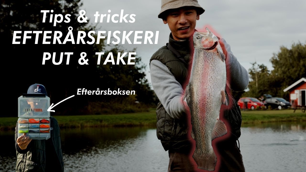 👉 Efterårsboks challenge - Tips og tricks til gummifiskeri i Put & take hen over efteråret.