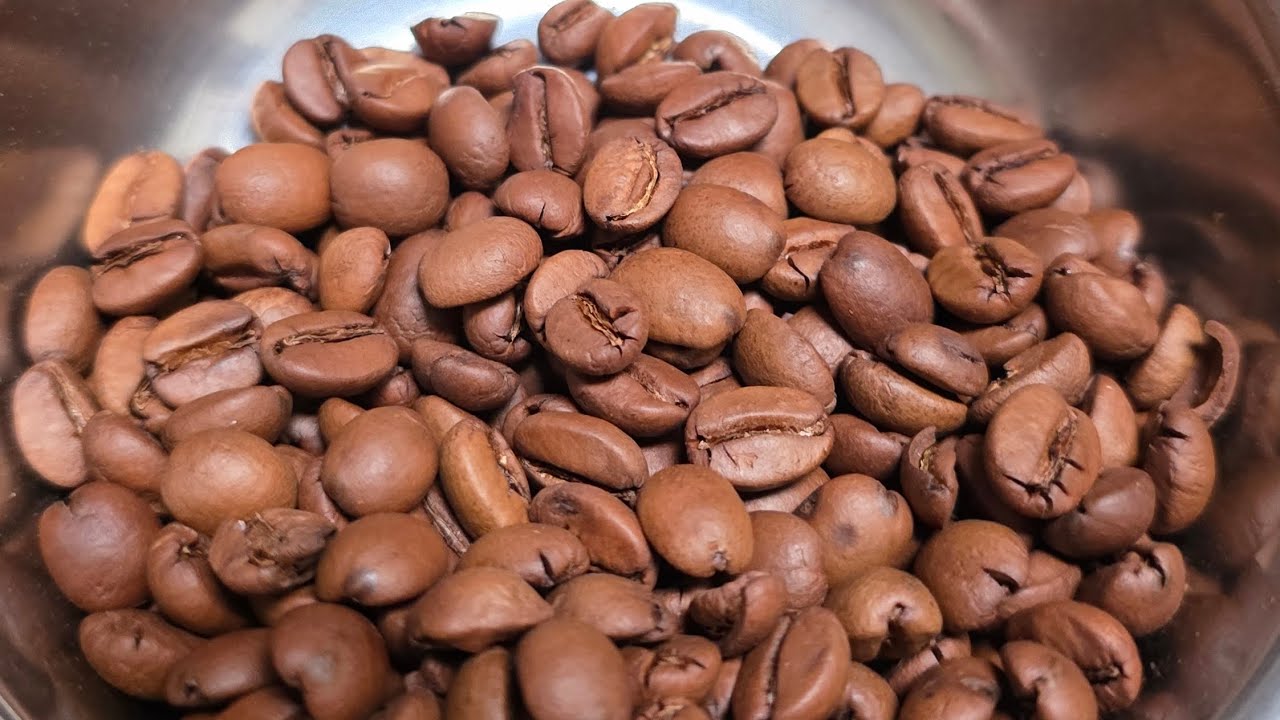 🔴 Management of robusta coffee beans until they become ready-to-consumption coffee grounds 