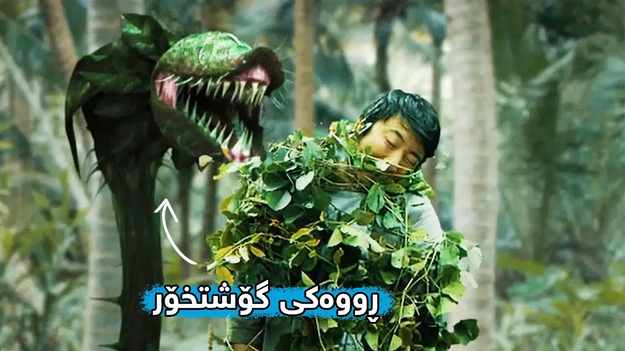 لە داهاتوودا مرۆڤەکان ڕووەکێکی مرۆڤخۆر دەدۆزنەوە کە دەتوانێت تا کاتێکی نادیار سوتەمەنی بەرهەم بهێنێت