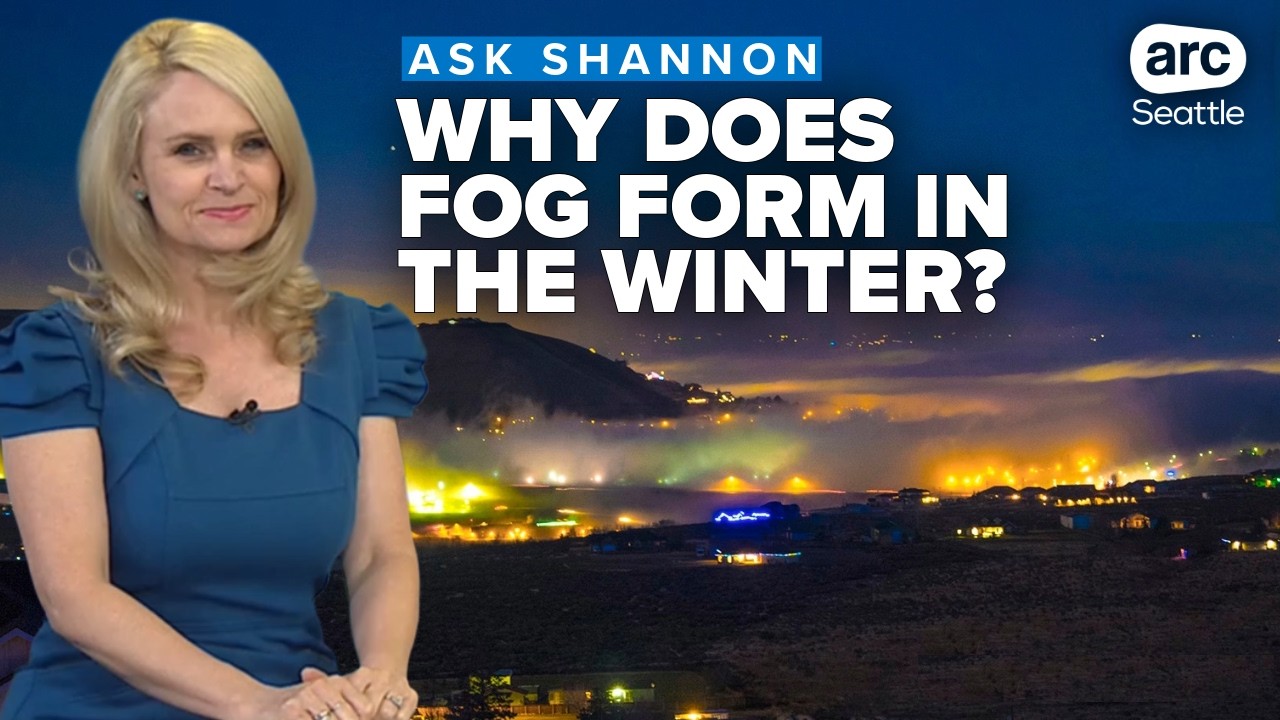 Why fog forms in the winter