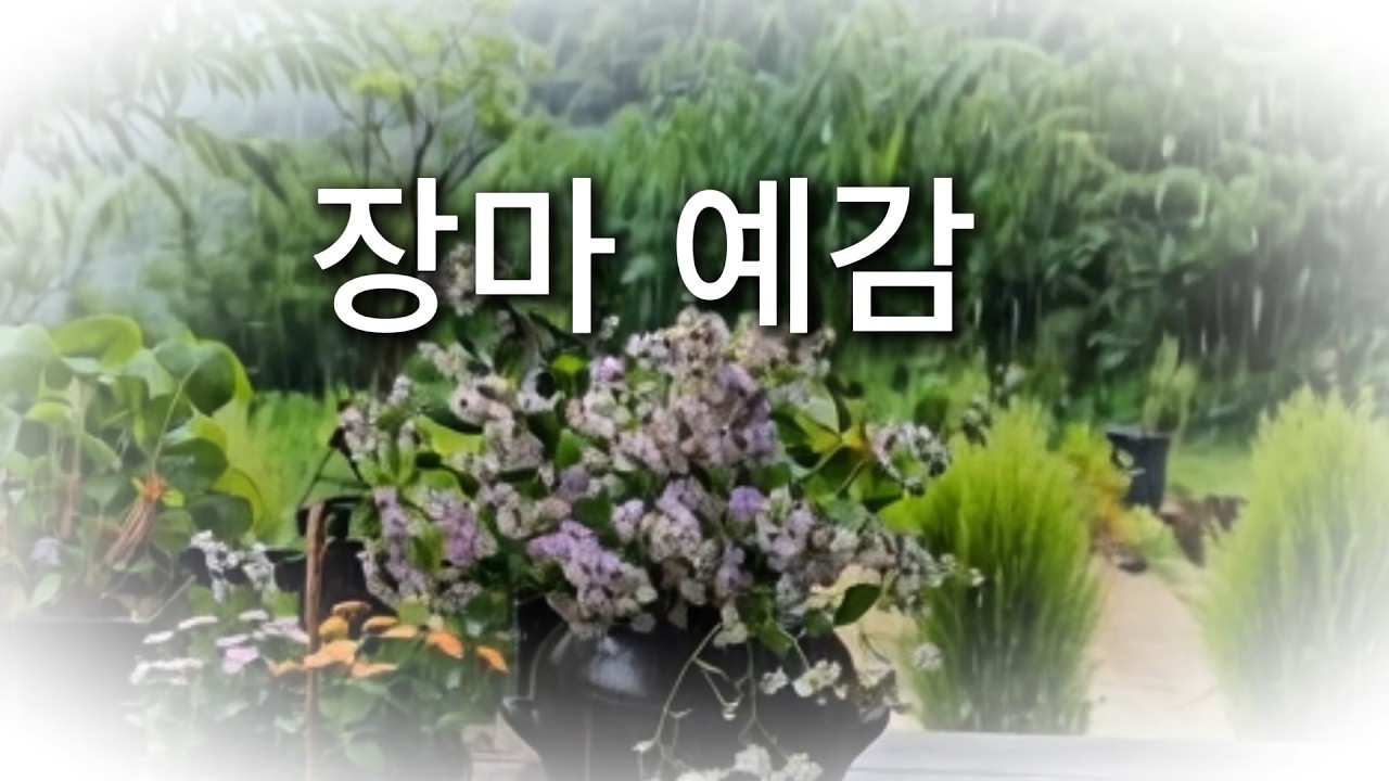 장마가 진들