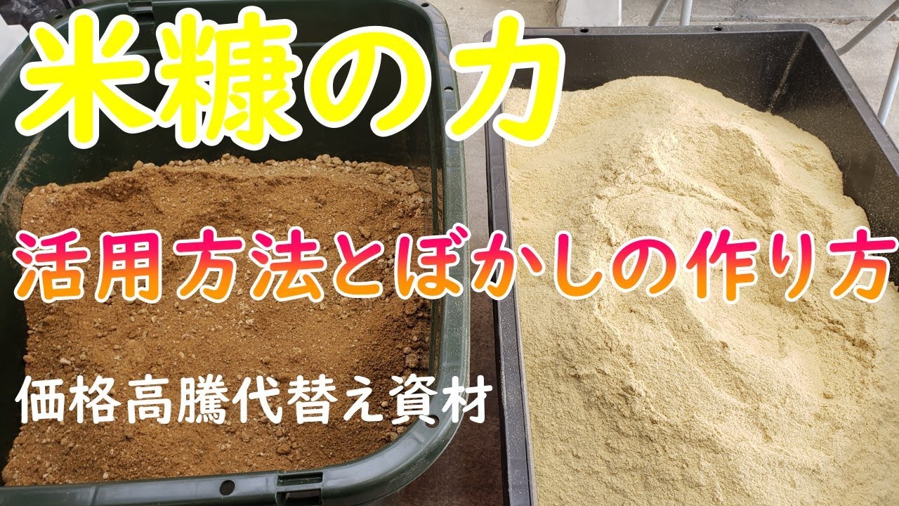 米糠が秘めた凄い力を活用しない手はない！
