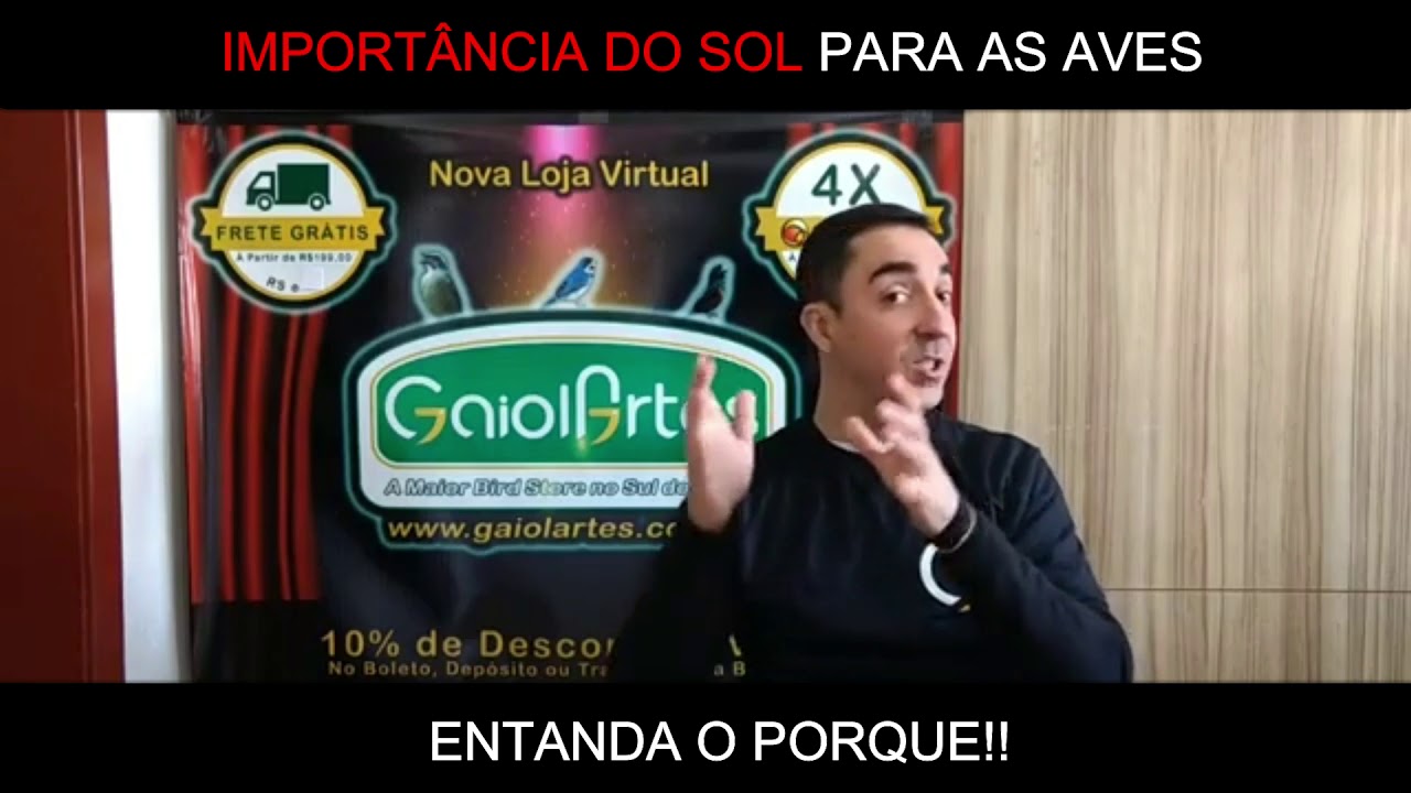 IMPORT&Acirc;NCIA DO SOL PARA AS AVES, ENTENDA O PORQUE!!