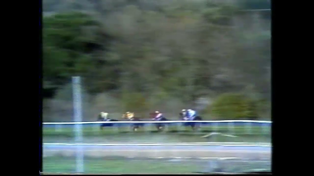 1986 (95) Premio SATR&Uacute;STEGUI (Grupo II) SIR KAN (IRE) cuadra Picasso