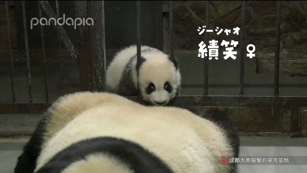 太らないようにね