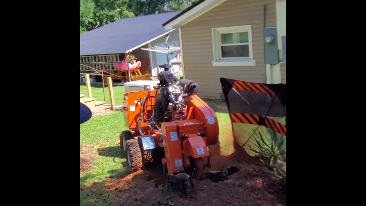 First job with new Carlton SP 5014 stump grinder