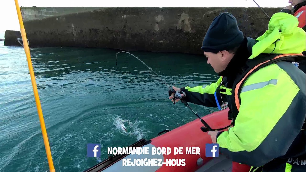PÊCHE SUR LES COTES NORMANDES ENTRE AMIS